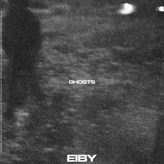 Eiby - GHOSTS w STEMS